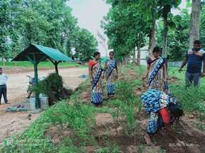 Environment-Friendly Campus 1