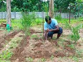 Environment-Friendly Campus 2